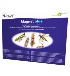 Kukaiņu lipīgās lamatas tripšiem, trūdodiņiem Magnet blue 1gab