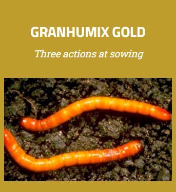 Granhumix Gold ORGANISKS MIKROORGANISMU KOMPLEKS 1kg
